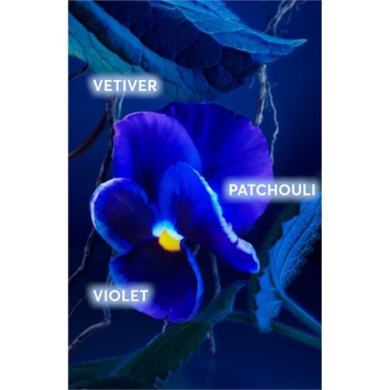 Hugo Boss Bottled Triumph Elixir Parfum Intense 50 ml Erkek Parfüm - 4