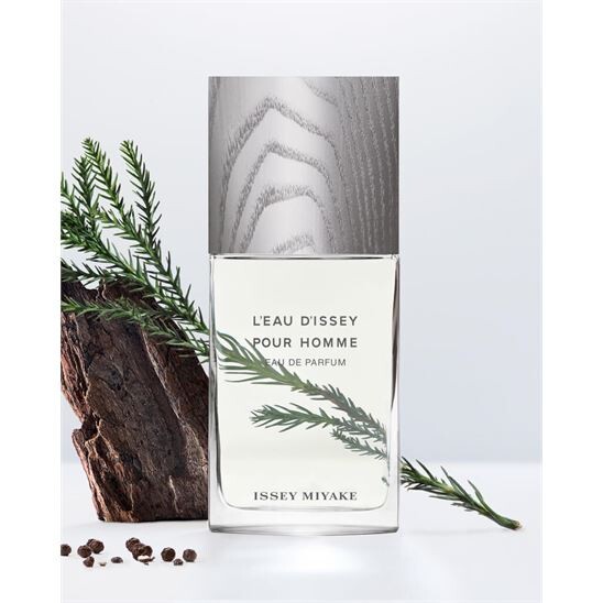 Issey Miyake L'Eau D'issey Pour Homme EDP 125 ml Erkek Parfüm (1)