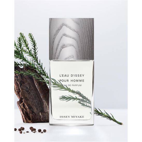 Issey Miyake L'Eau D'issey Pour Homme EDP 75 ml Erkek Parfüm - 2