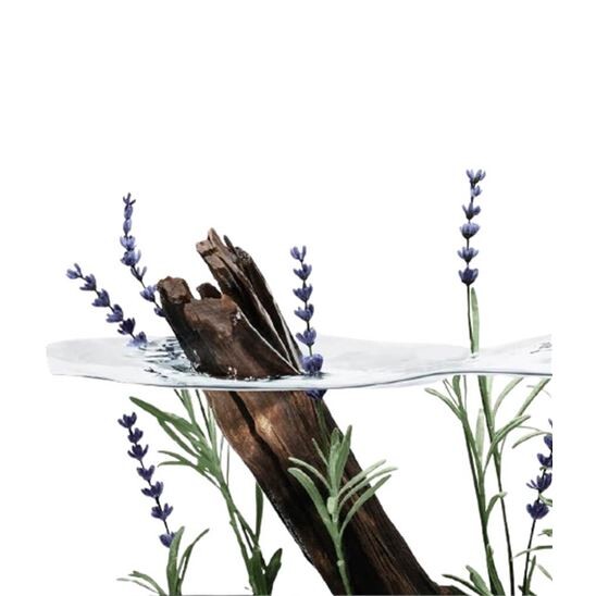 Issey Miyake L'Eau D'issey Pour Homme Solar Lavender EDT Intense 50 ML Erkek Parfüm - 5