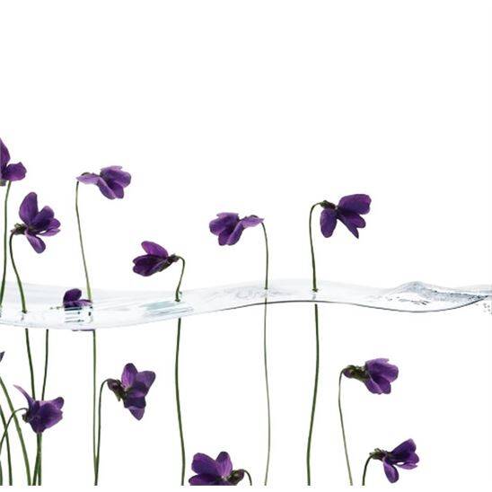 Issey Miyake L'Eau D'issey Solar Violet EDT Intense 50 ML Kadın Parfüm - 4