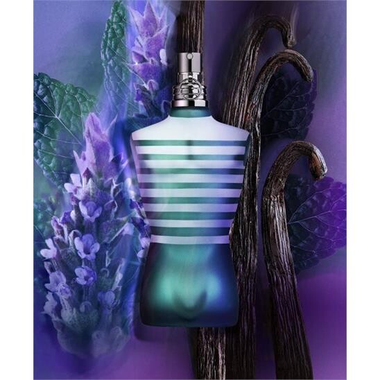 Jean Paul Gaultier Le Male EDT 125 ml Erkek Parfüm - 8