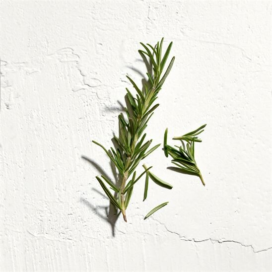 Jil Sander Sun Men EDT 125 ml Erkek Parfüm - 6