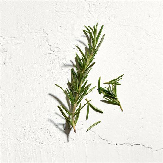 Jil Sander Sun Men EDT 125 ml Erkek Parfüm - 6