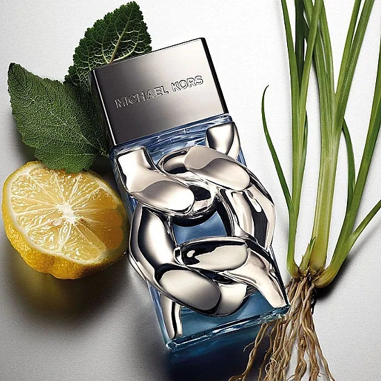 Michael Kors Pour Homme EDP 100 ml Erkek Parfüm Set - 3