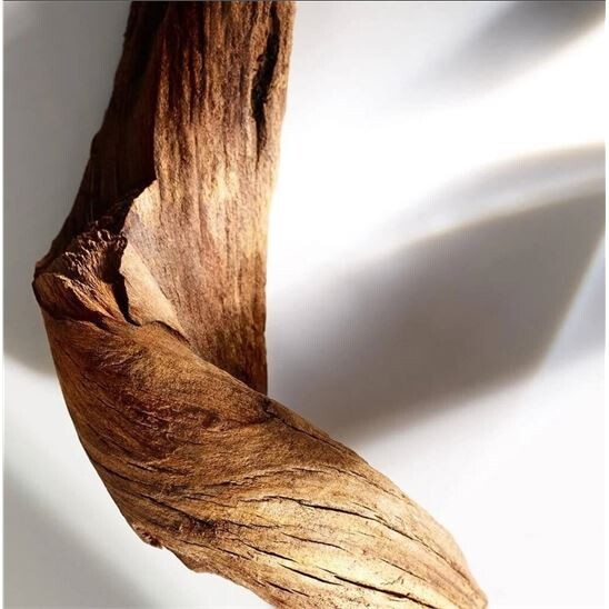 Michael Kors Wonderlust EDP 100 ml Kadın Parfüm - 7