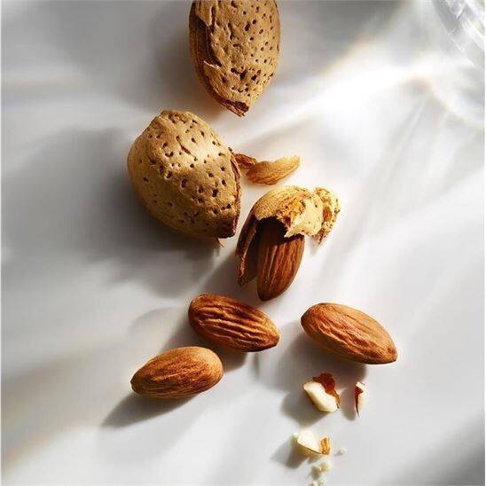 Michael Kors Wonderlust EDP 50 ml Kadın Parfüm - 5