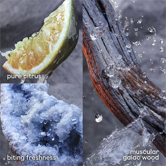 Paco Rabanne Invictus EDT 200 ml Erkek Parfüm - 3