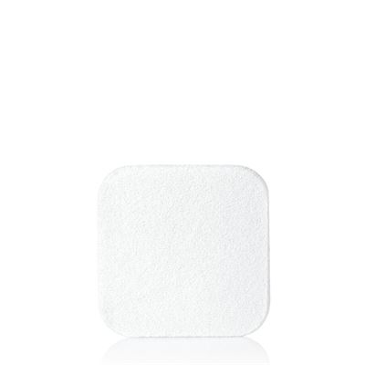 shiseido-skin-self-refreshing-finish-powder-sponge1.jpg