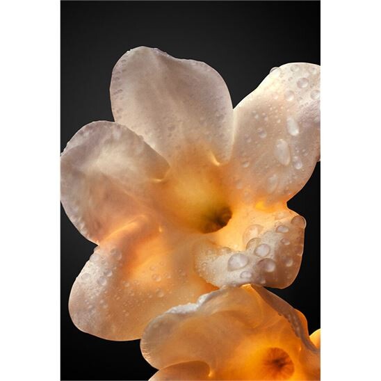 Rabanne Olympea Absolu Parfum Intense 50 ml Kadın Parfüm - 8