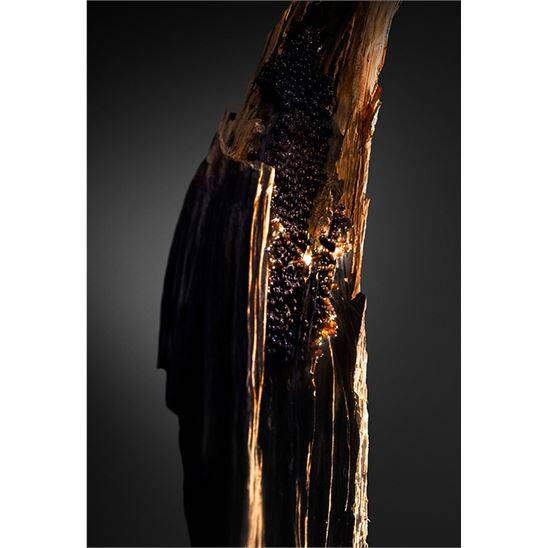 Rabanne Olympea Absolu Parfum Intense 80 ml Kadın Parfüm - 9