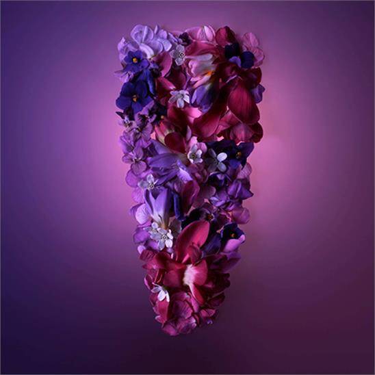 Shiseido Ginza EDP Murasaki 90 ml Kadın Parfüm - 5