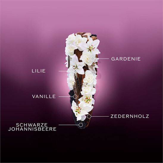 Shiseido Ginza Night Intense EDP 50 ml Kadın Parfüm - 6