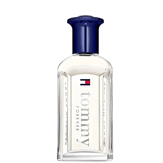 Tommy Hilfiger Tommy Forever EDT 100 ml Erkek Parfüm